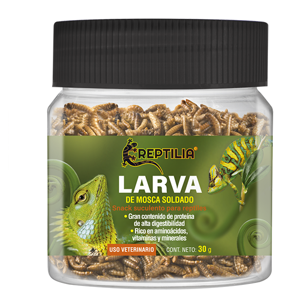 Larva de Mosca Soldado para Reptiles
